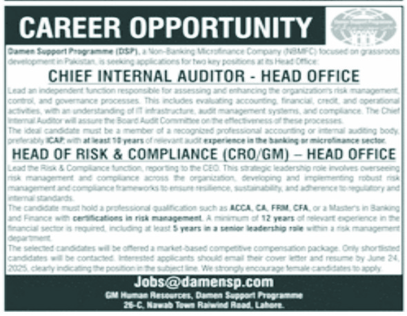 Chief Internal Audhtor Job in DamenSP Lahore